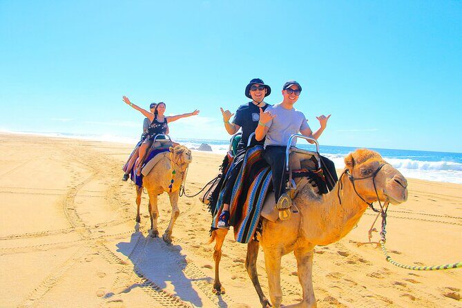 Los Cabos 3 in 1 Adventure: Camel Ride, Lunch and Arch Boat Tour - The Practicalities: What to Expect
