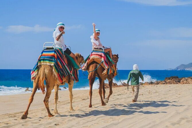 Los Cabos 3 in 1 Adventure: Camel Ride, Lunch and Arch Boat Tour - Concluding Thoughts