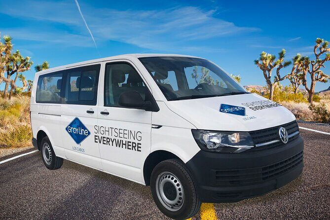 Los Cabos Airport One Way Shuttle Only Arrival - Who This Service Is Best For
