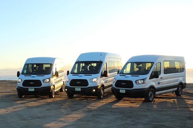 Los Cabos Airport One Way Shuttle Only Arrival - Authentic Experiences from Travelers