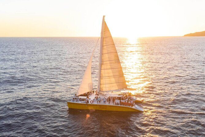 Los Cabos All Included Whale Watching Experience - Final Thoughts