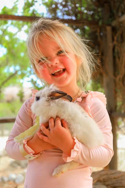 Los Cabos: Animal Encounter & Aqua Park Adventure - Key Points