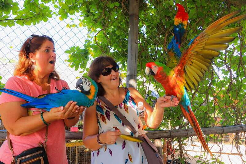 Los Cabos: Animal Encounter & Aqua Park Adventure - Discovering Wild Canyon’s Animal Encounter & Aqua Park