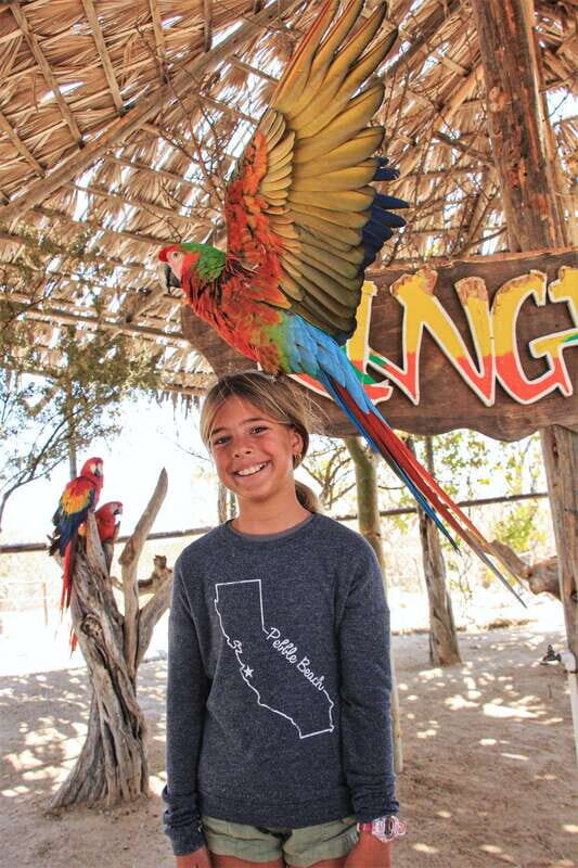 Los Cabos: Animal Encounter & Aqua Park Adventure - Final Thoughts: Who Will Love This Experience?