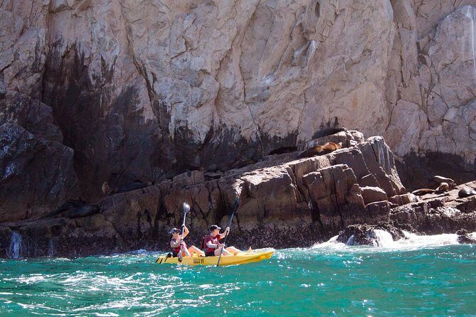 Los Cabos Arch and Playa del Amor Tour by Glass Bottom Kayak - Price & Value for Money
