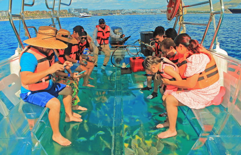 Los Cabos Arch & PelicanRock Cabo San Lucas CrystalBoat Tour - The Reality of Photos and Cost