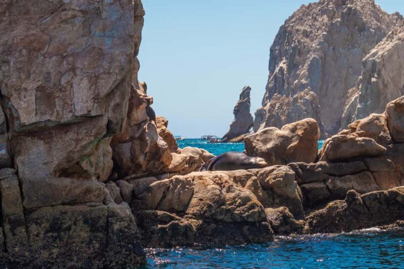 los cabos arch tour & drinks +snorkel tour - Key Points