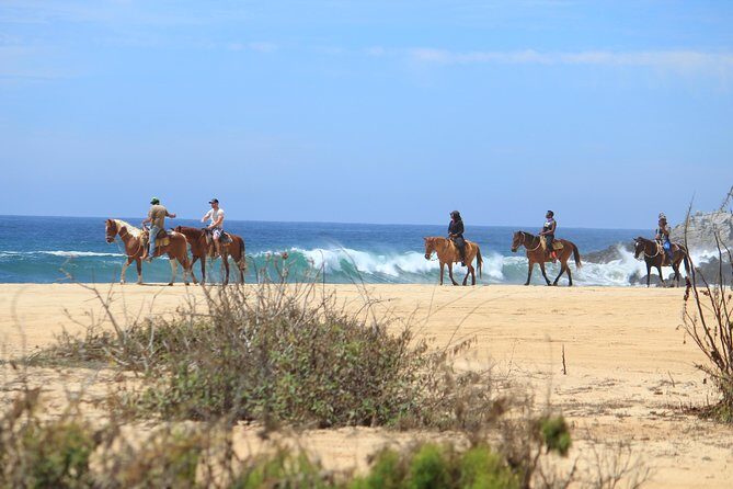 Los Cabos ATV and Pacific Horseback Riding Combo Tour - Who Will Love This Tour?