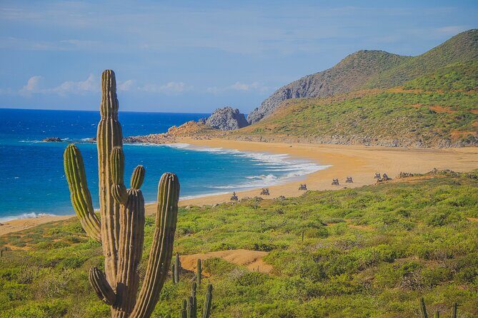 Los Cabos ATV Tour Double Rider - Key Points