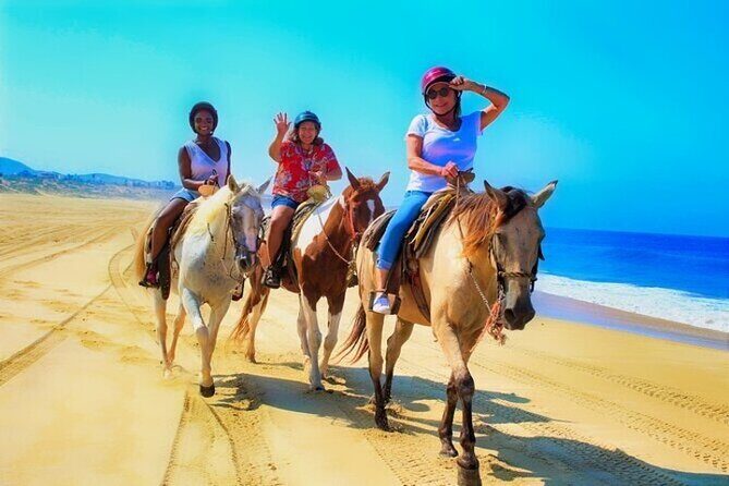 Los Cabos ATV/UTV & Horseback Riding COMBO Tour & Tequila Tasting - Who Will Love This Tour?