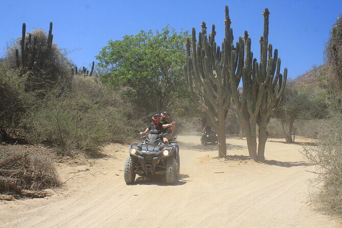 Los Cabos Beach & Desert Tour in Automatic ATV + Tequila Tasting - FAQ: Common Questions Answered