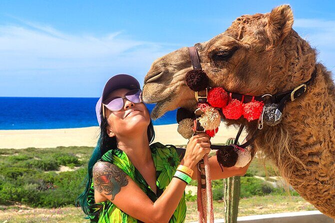 Los Cabos Camel Ride Adventure On The Beach - The Camel Ride: A Surprising Highlight