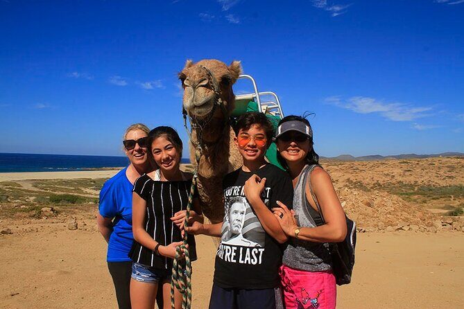 Los Cabos Camel Ride Adventure On The Beach - A Hike in the Ecological Reserve