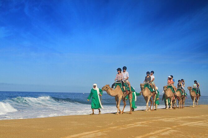 Los Cabos Camel Ride Adventure On The Beach - What Do Travelers Say?