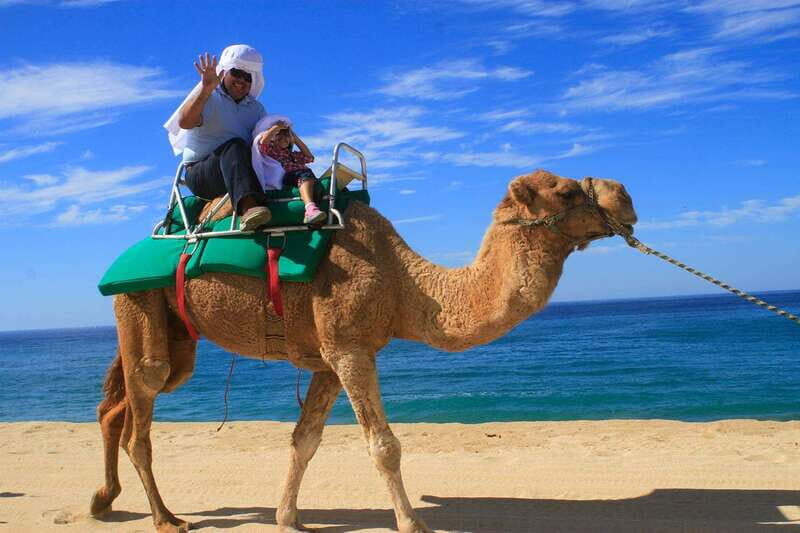 Los Cabos: Camel Ride Safari with Lunch and Tequila Tasting - Practical Tips for Participants