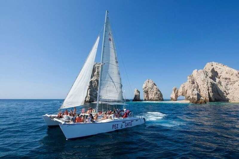 Los Cabos: Catamaran Whale Watching Cruise - Final Thoughts