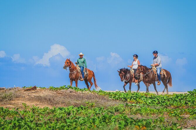Los Cabos Combo: ATV + Horseback Riding - Practical Tips for Your Trip