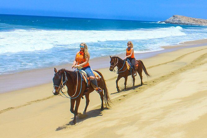 Los Cabos - COMBO Horseback Riding & ATV Tour - A Closer Look at the Experience