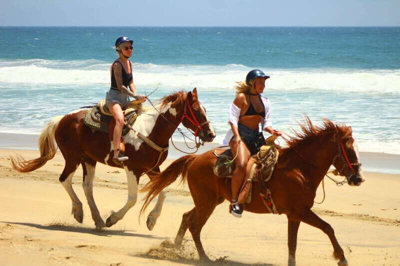 Los Cabos: Combo: Razor, Horseback or atv with transfer - The tequila tasting: a flavorful finish