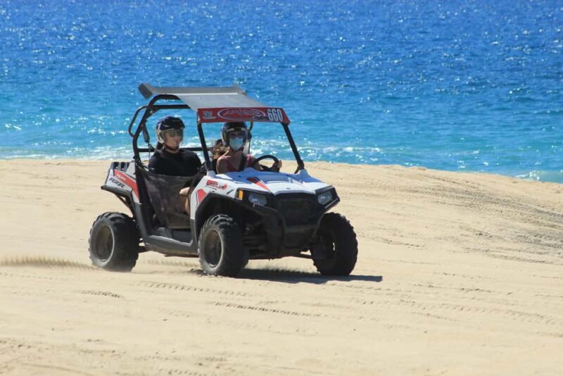 Los Cabos: Combo: Razor, Horseback or atv with transfer - Transport and logistics: smooth and straightforward