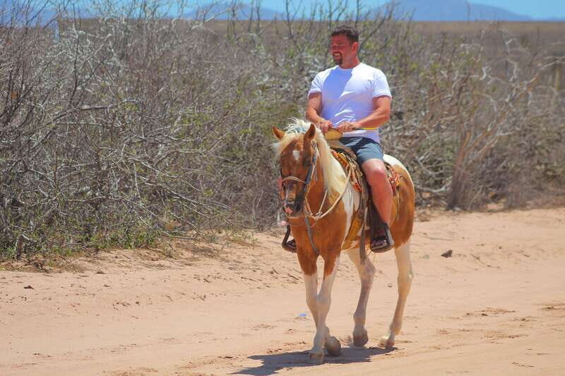 Los Cabos: Combo: Razor, Horseback or atv with transfer - Who is this tour perfect for?