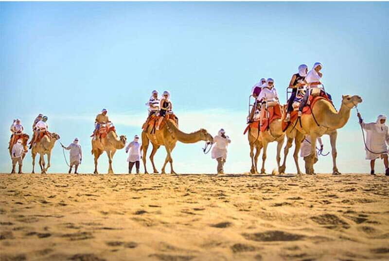 Los Cabos: Desert & Sea Camel Safari Tour with Lunch - An Authentic Baja Experience: What to Expect