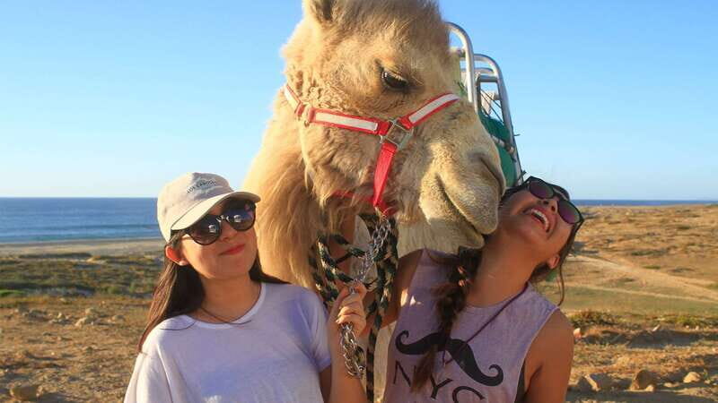 Los Cabos: Desert & Sea Camel Safari Tour with Lunch - Authenticity and Audience Fit