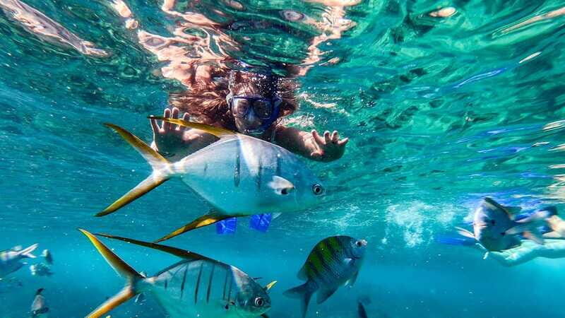Los Cabos: El Arco, Chileno Beach, and Tequila Tasting Tour - FAQ