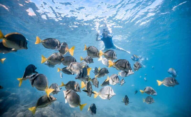 Los Cabos: Glass Bottom Kayak and Snorkel Tour at the Arch - Key Points
