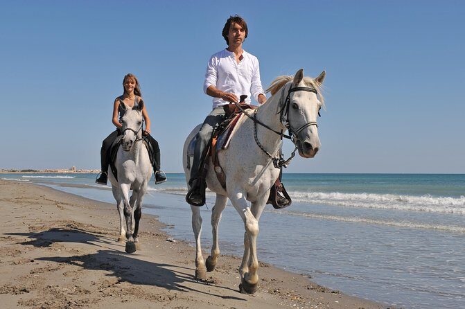 Los Cabos Horseback Riding - The Value for Money: Is It Worth It?