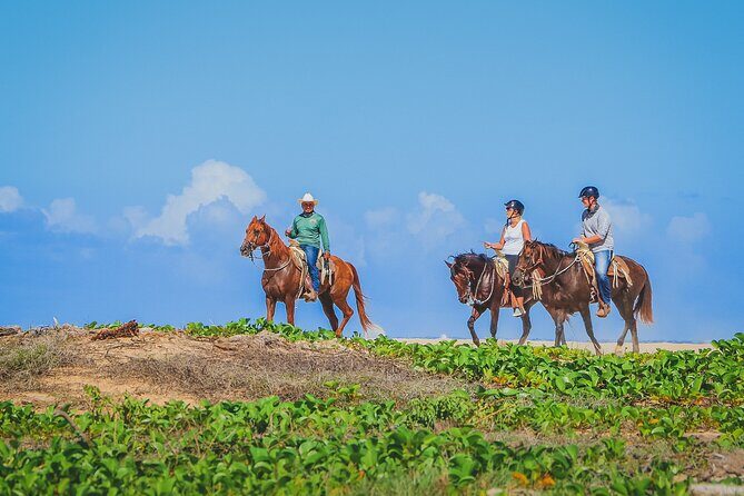 Los Cabos Horseback Riding - What Do Travelers Say?
