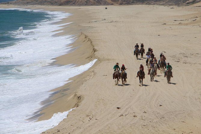 Los Cabos Horseback Riding - Practical Details: What You Need to Know