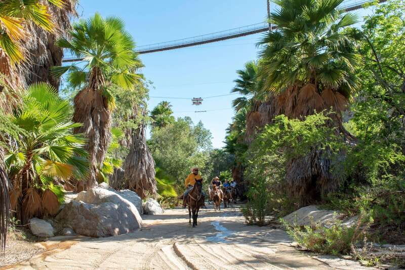 Los Cabos: Horseback Riding in Canyon a Mexican Experience - Tasting Baja: Quesadillas, Snacks, and Drinks