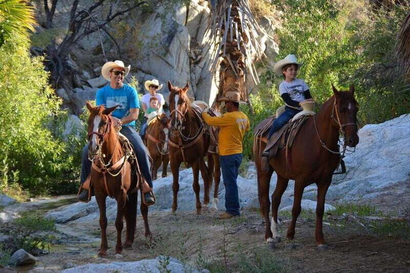 Los Cabos: Horseback Riding in Canyon a Mexican Experience - Authentic Experience and Value