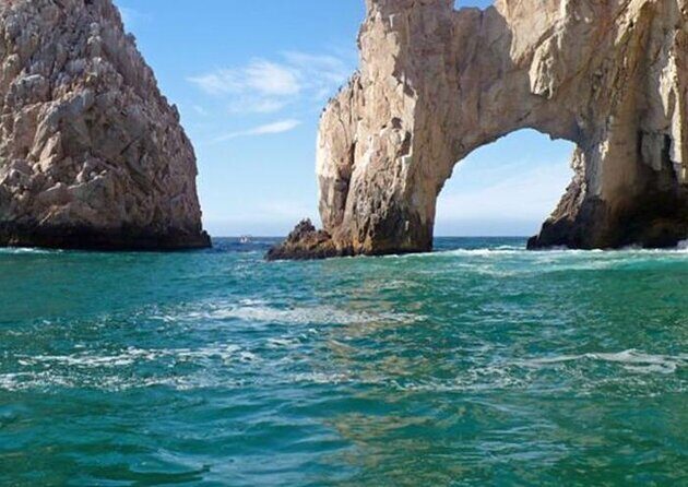 Los Cabos Humpback Whale: 10-Hour Tour 3 Hours of Whale Watching - Key Points