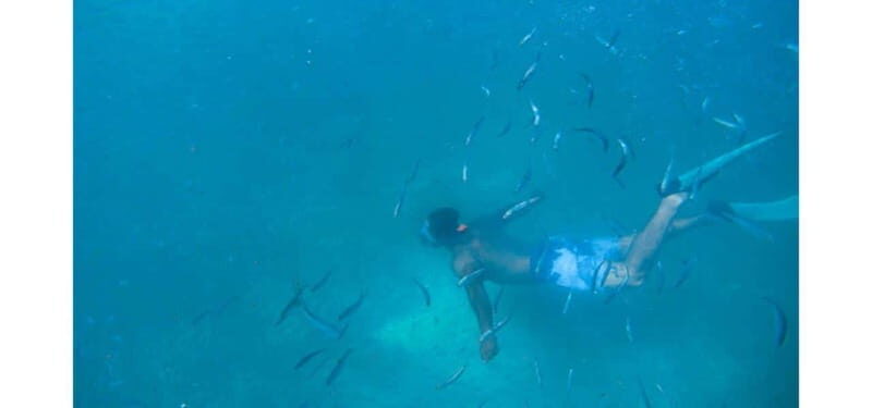 Los Cabos: Land's End Kayak and Snorkel Tour - Final Thoughts: Is This Tour Right for You?