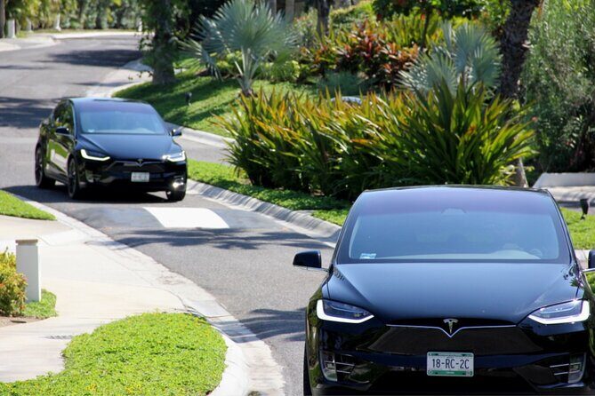 Los Cabos Luxury Private Tesla Transfer from Airport to Tourist Corridor Area - Authentic Insights From Travelers