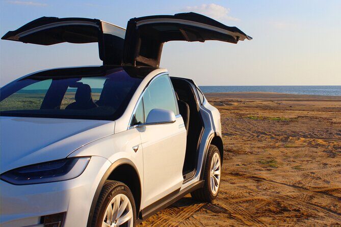 Los Cabos Luxury Tesla Transfer from Airport to San José del Cabo Area - The Real-World Experience (Based on Reviews)