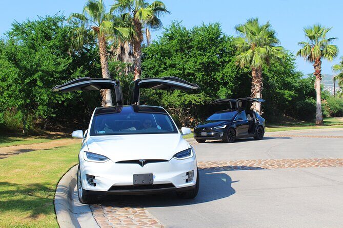 Los Cabos Luxury Tesla Transfer from Airport to San José del Cabo Area - The Sum Up