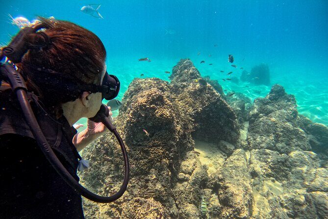 Los Cabos Open Water Diver Course - Introduction: A Beginner-Friendly Underwater Journey in Cabo San Lucas