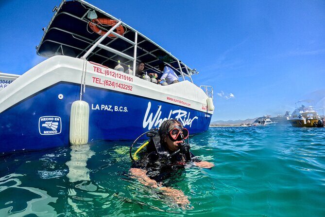 Los Cabos Open Water Diver Course - The Value for the Price