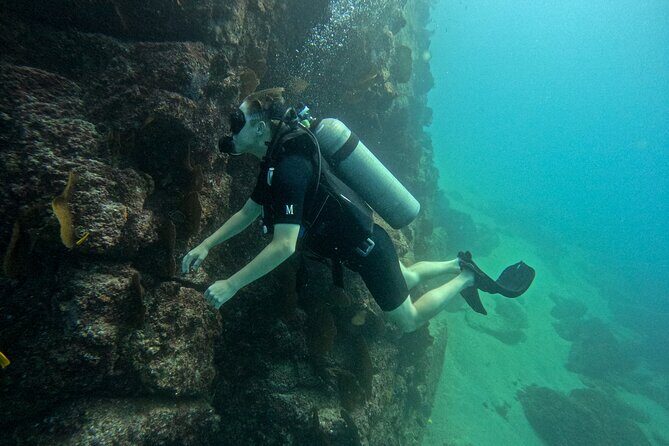 Los Cabos Open Water Diver Course - Who Should Consider This Course?