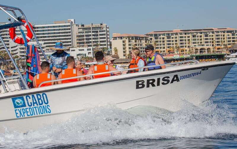 Los Cabos: Parasailing, a new perspective from the skies. - Key Points