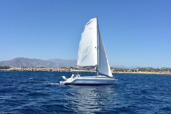 Los Cabos Platinum Snorkel Experience - A Closer Look: The Itinerary and Experience