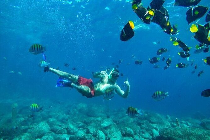 Los Cabos Platinum Snorkel Experience - Final Words