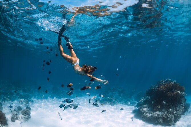 Los Cabos Power snorkel Adventure, Kayaking and Stand-Up Paddle - Setting the Scene: What to Expect on Your Los Cabos Water Adventure