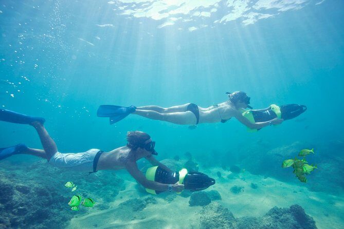 Los Cabos Power snorkel Adventure, Kayaking and Stand-Up Paddle - Scenic Highlights and Wildlife Encounters