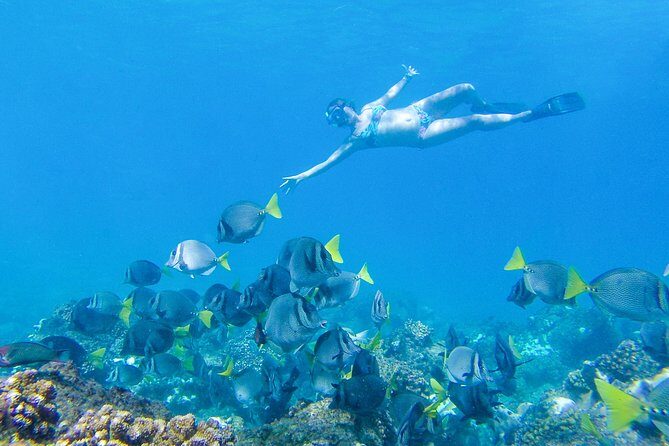 Los Cabos Power snorkel Adventure, Kayaking and Stand-Up Paddle - Food, Refreshments, and Additional Details