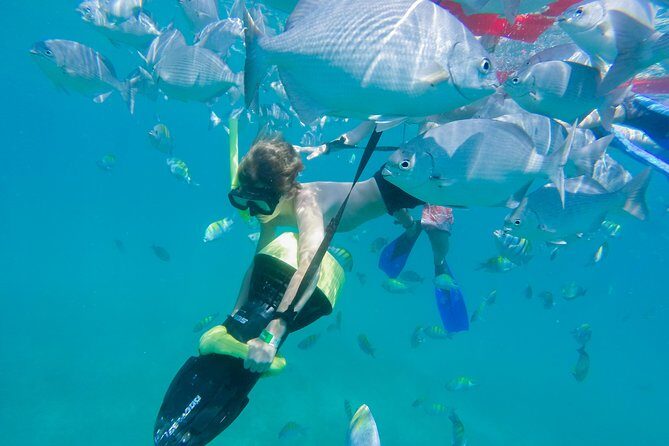 Los Cabos Power snorkel Adventure, Kayaking and Stand-Up Paddle - The Balance of Price and Experience