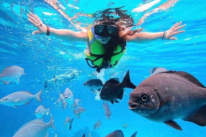 Los Cabos Private Beach Hopping - FAQs